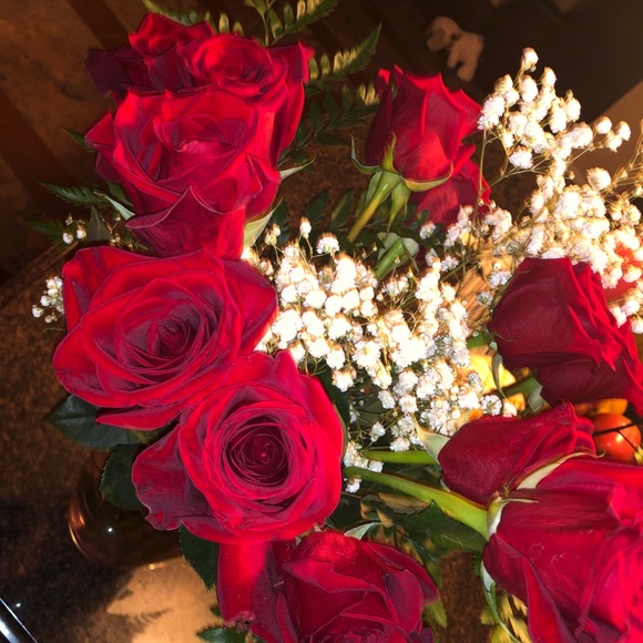 Meet your Posher, Devyn - Picture 1 of 1